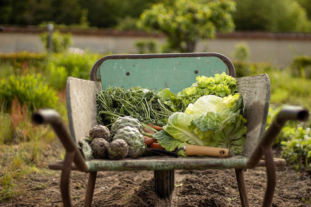 Le 30 août les jardiniers fêtent la Saint-Fiacre