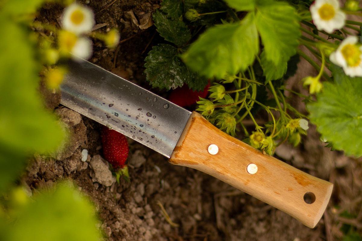 Le Hori Hori : Un Outil Indispensable au Jardin