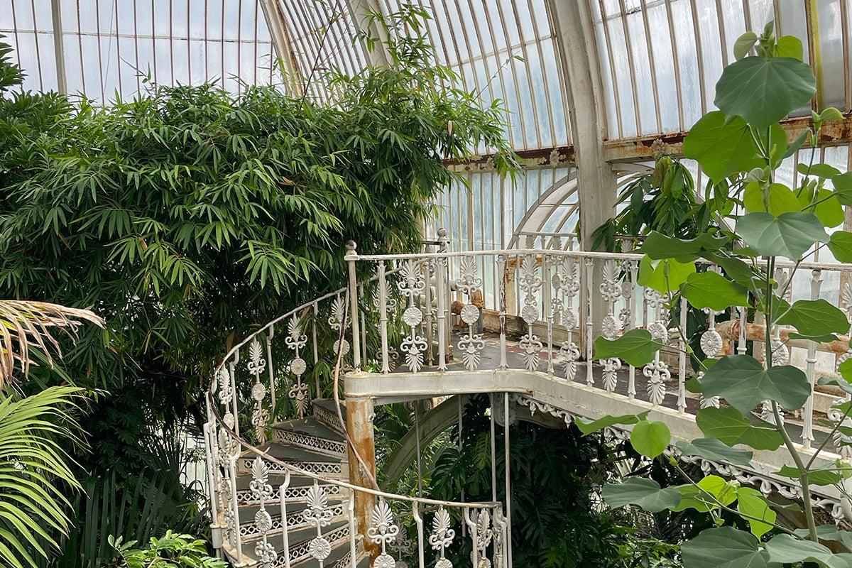 Visite à Kew Gardens : havre botanique