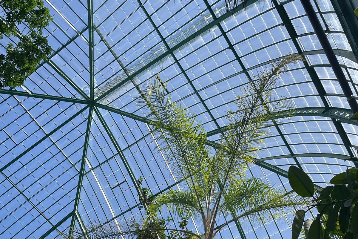 Rêveries aux Serres d’Auteuil