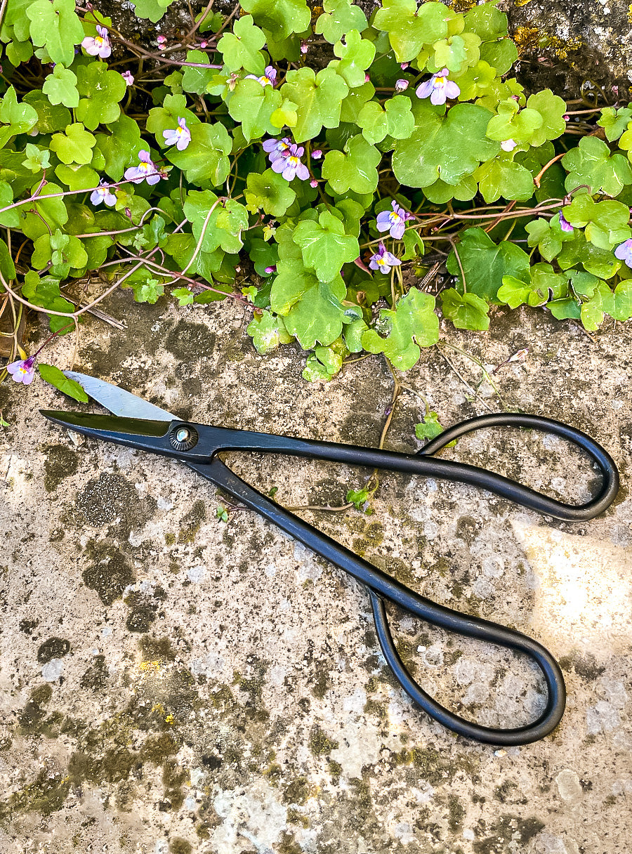 Longs ciseaux japonais forgés Sentei