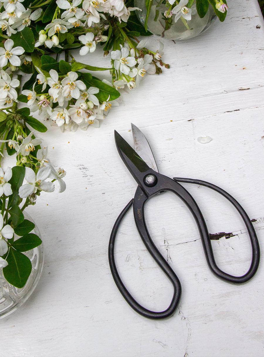 Ciseaux japonais forgés Sentei