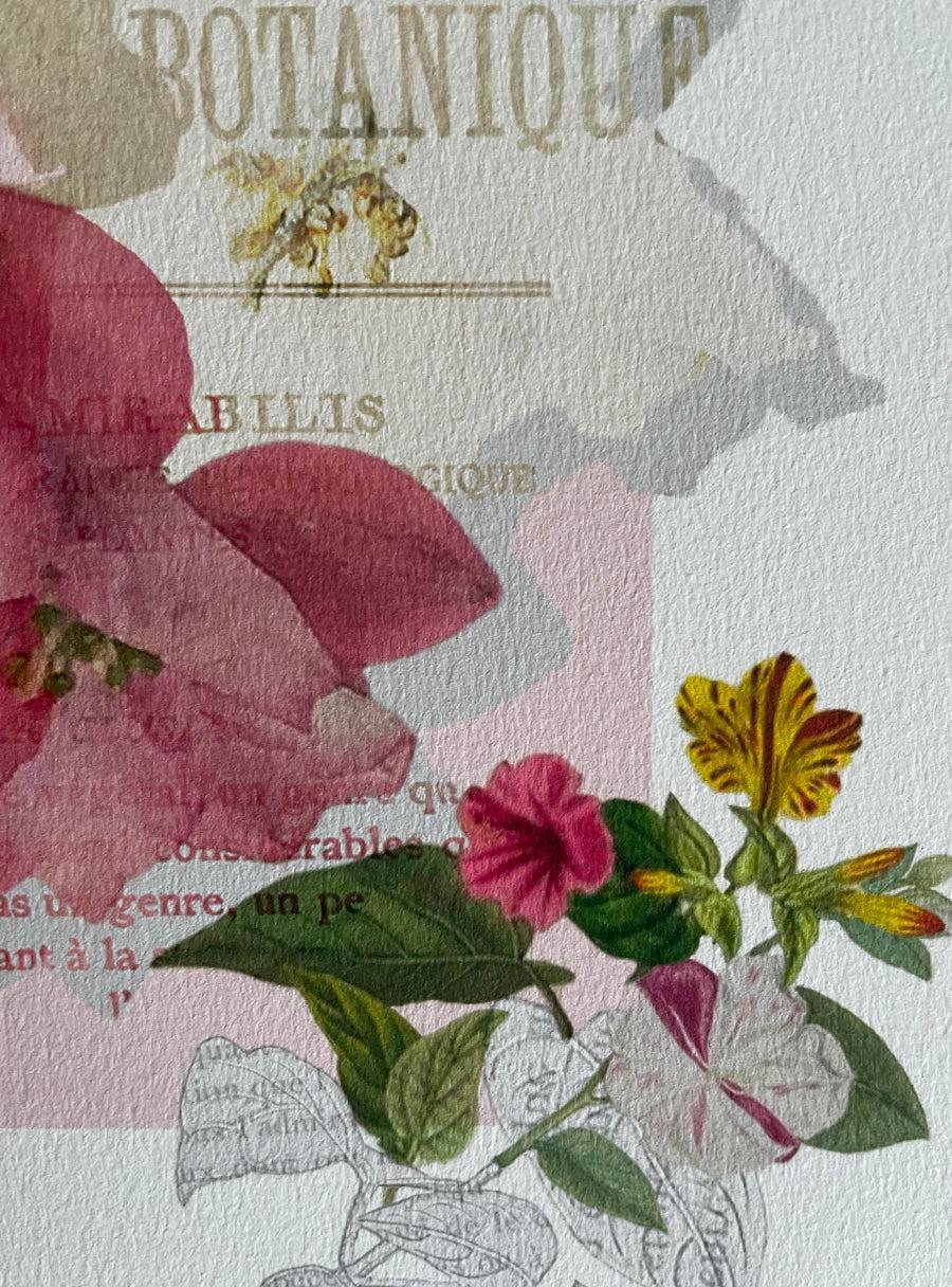 Belle-de-nuit - Les Fleurs Pressées