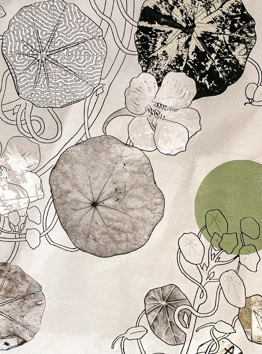 Nasturtiums - Les Fleurs Pressées Collage - Large Format