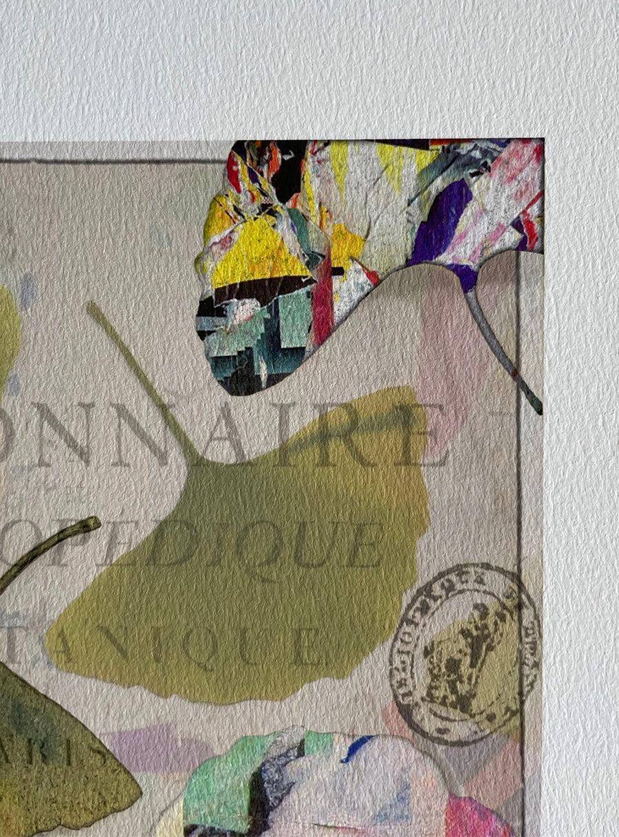 Feuilles de Gingko - Les Fleurs Pressées