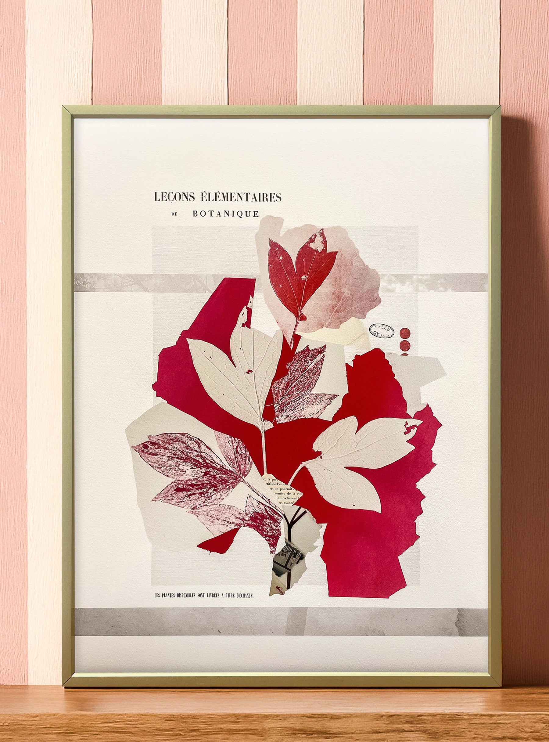 Feuilles de Pivoine - Les Fleurs Pressées