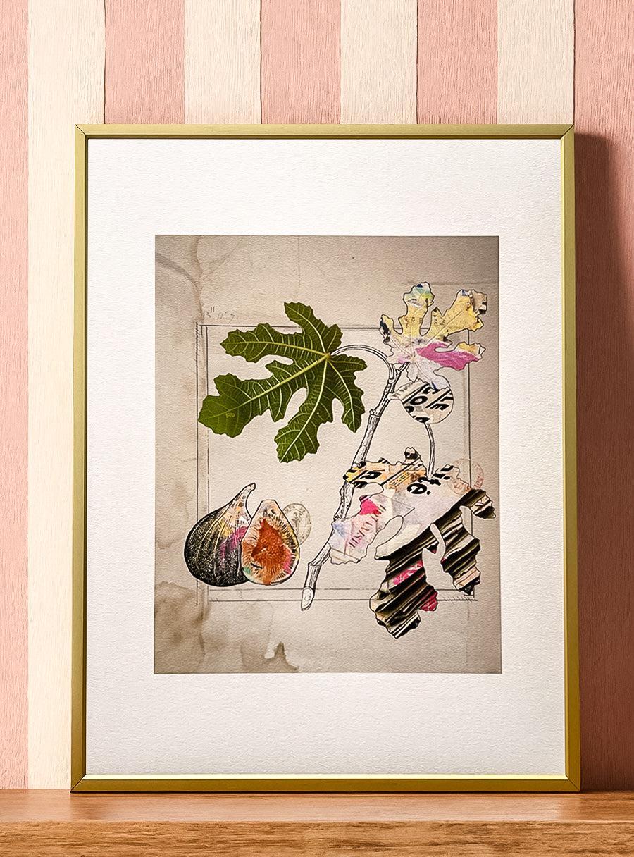 Figuier - Les Fleurs Pressées