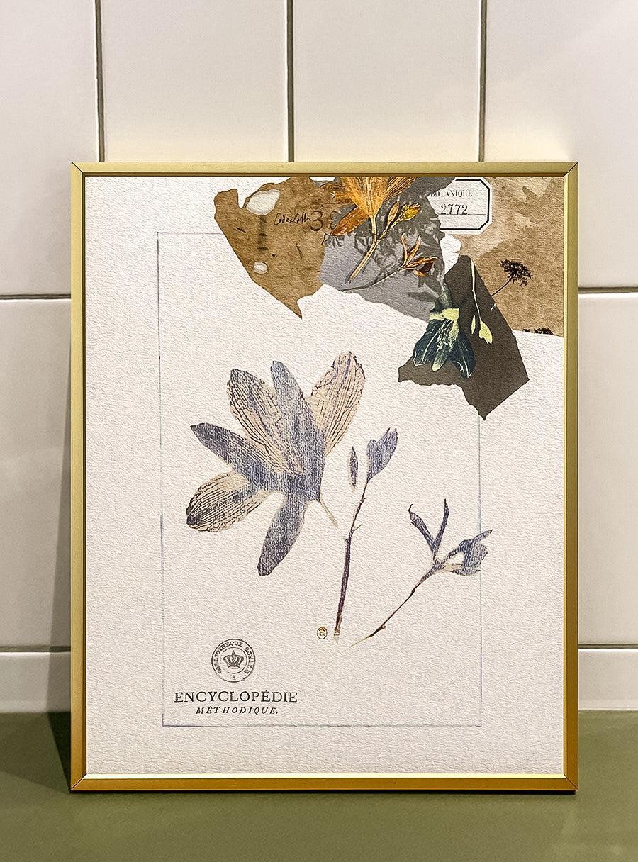 Hémérocalle - Les Fleurs Pressées