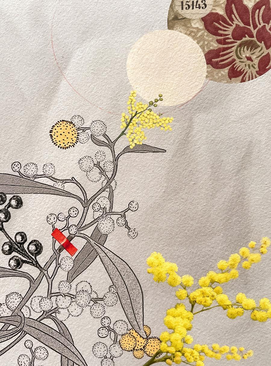 Mimosa - Les Fleurs Pressées Collage - Medium Format