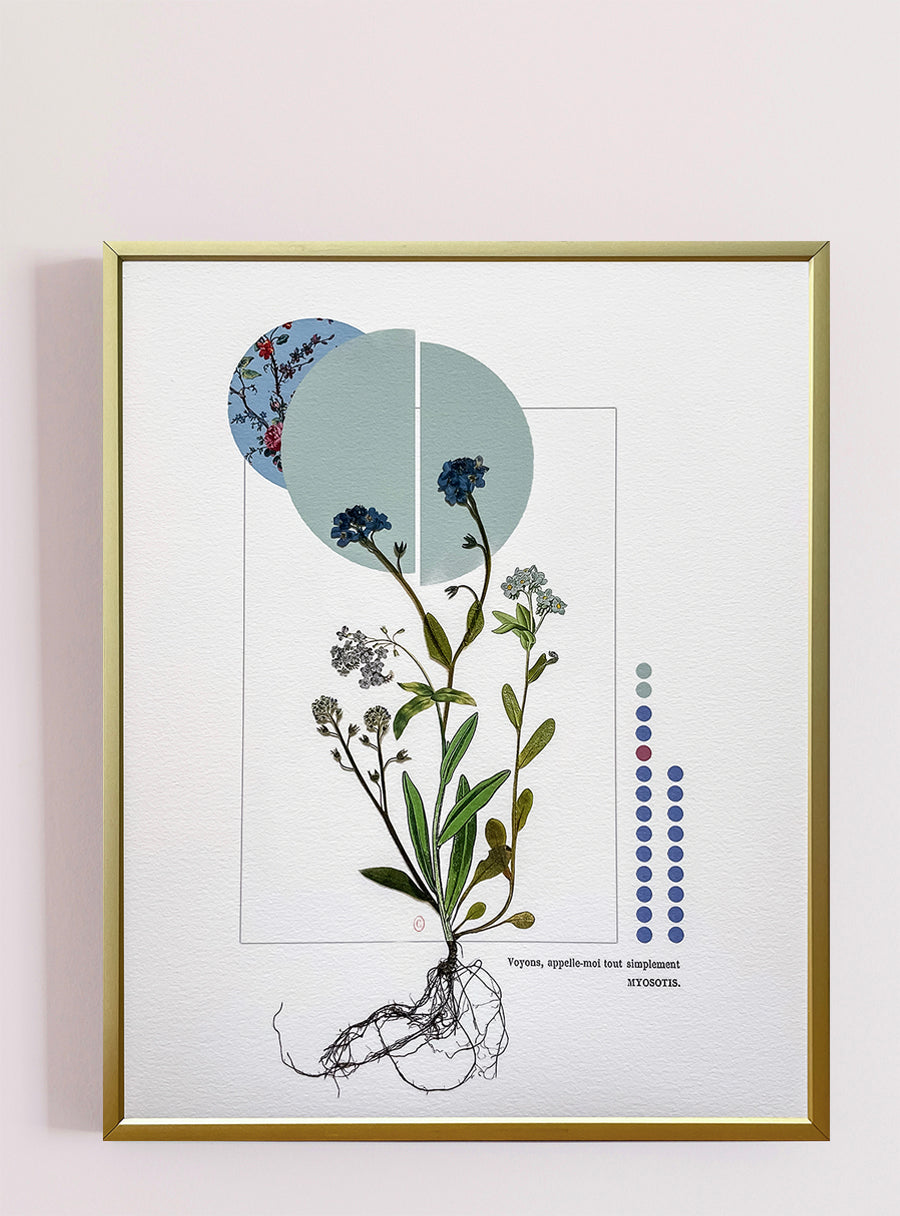 Collage Myosotis par Les Fleurs Pressées, Tirage d’art