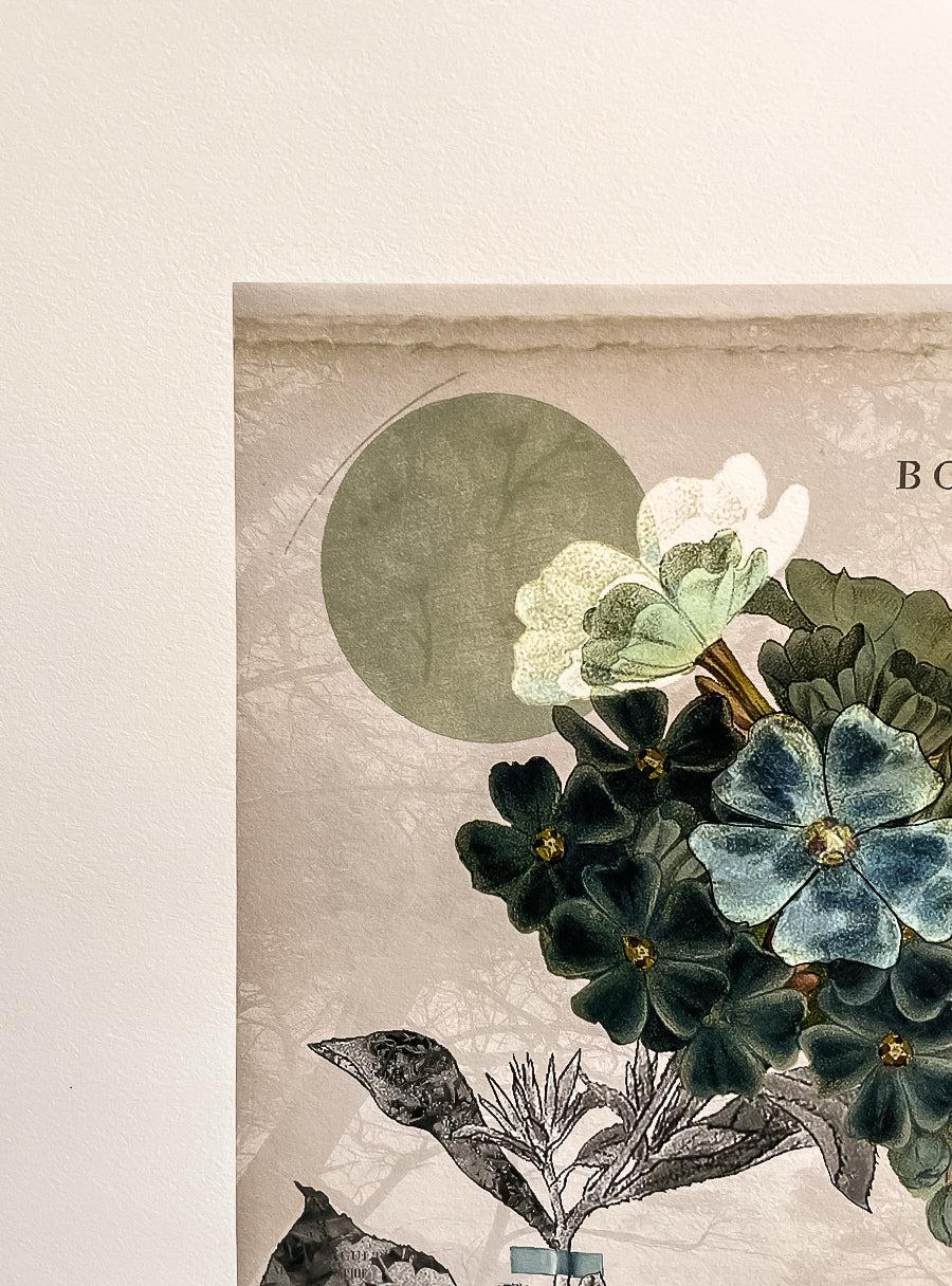 Plumbago - Les Fleurs Pressées