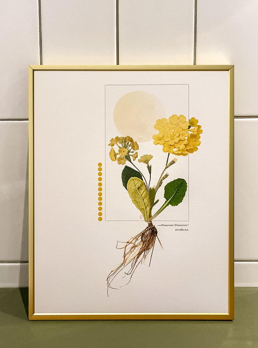 Yellow Primrose – Les Fleurs Pressées Collage – Small Format