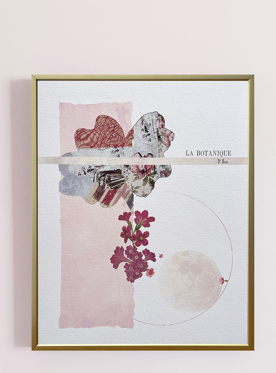 Primevère rose - Tirage d’art