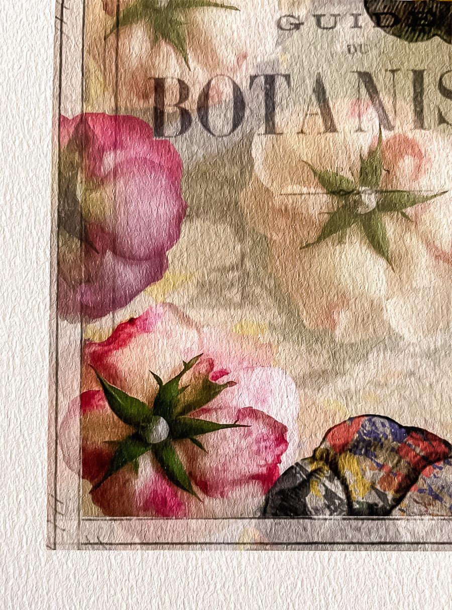 Roses - Les Fleurs Pressées