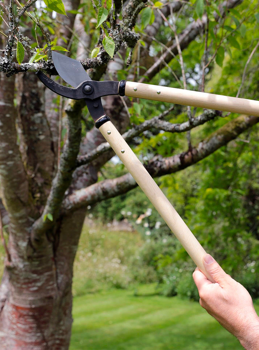 Coupe-branches japonais forgé