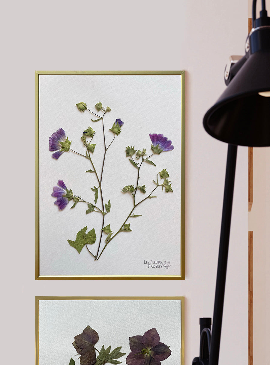 Mauve - Les Fleurs Pressées