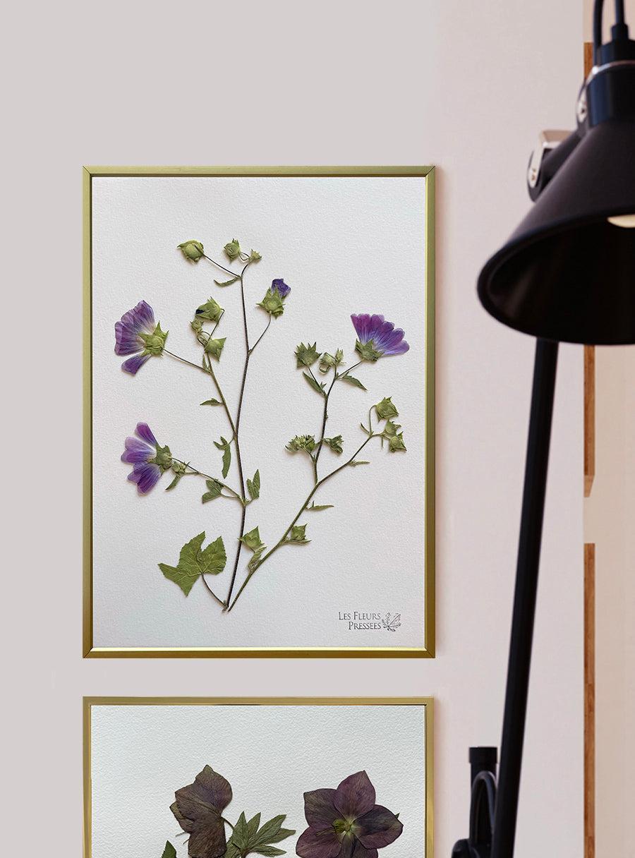 Mauve - Les Fleurs Pressées