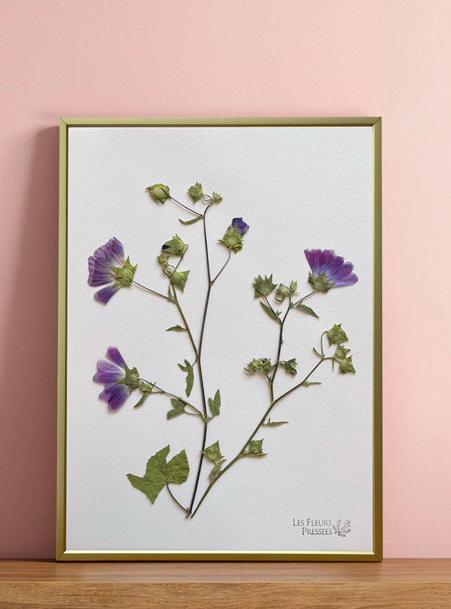 Mauve - Les Fleurs Pressées