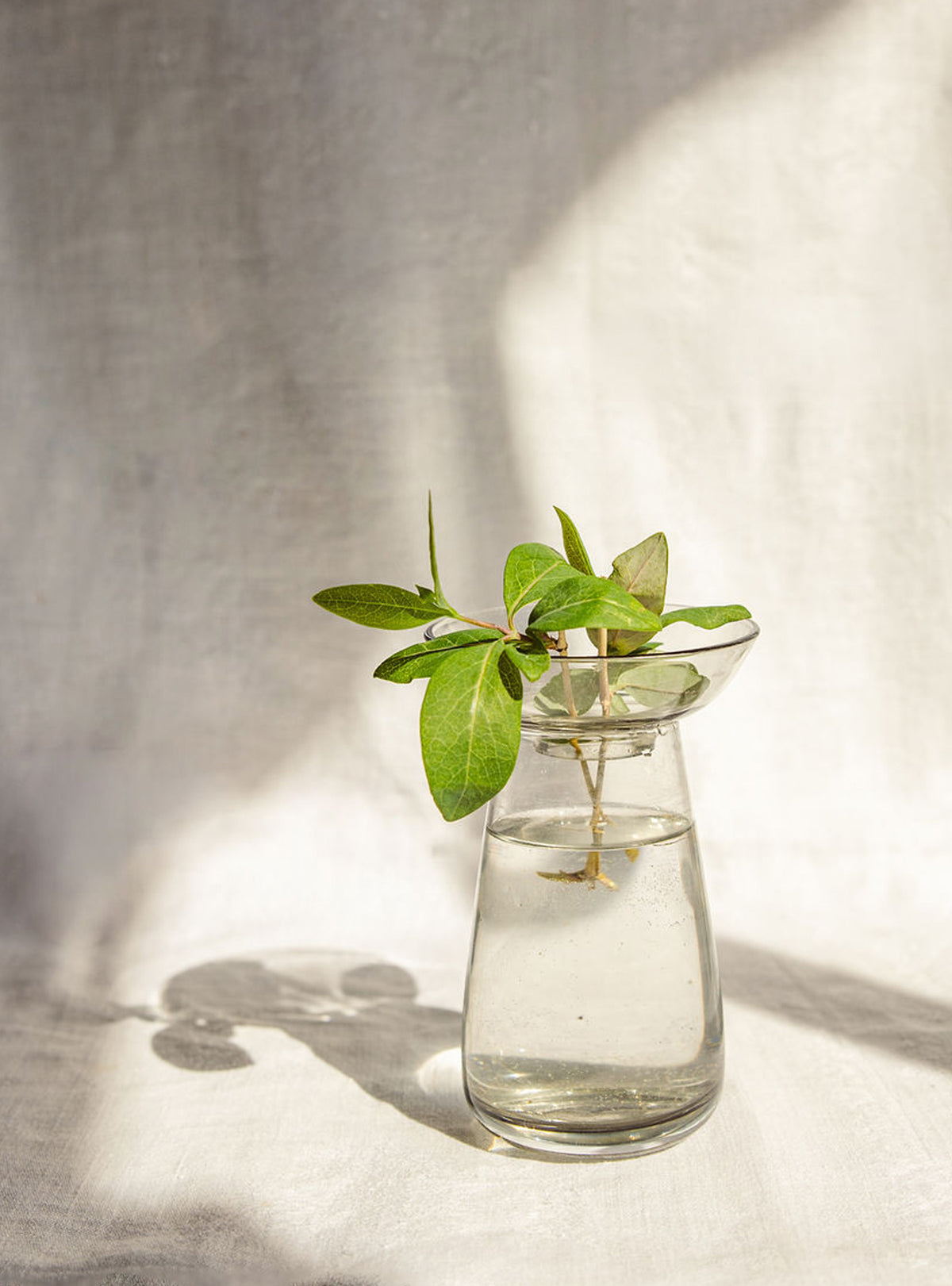 Aqua Culture Glass Vase - Grey