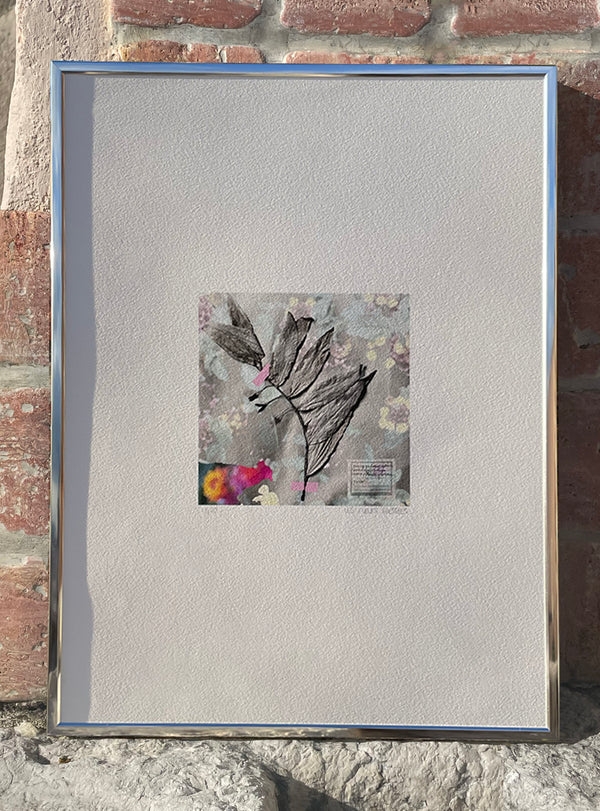 Collage Les Fleurs Pressées - Moyen format - Herbier