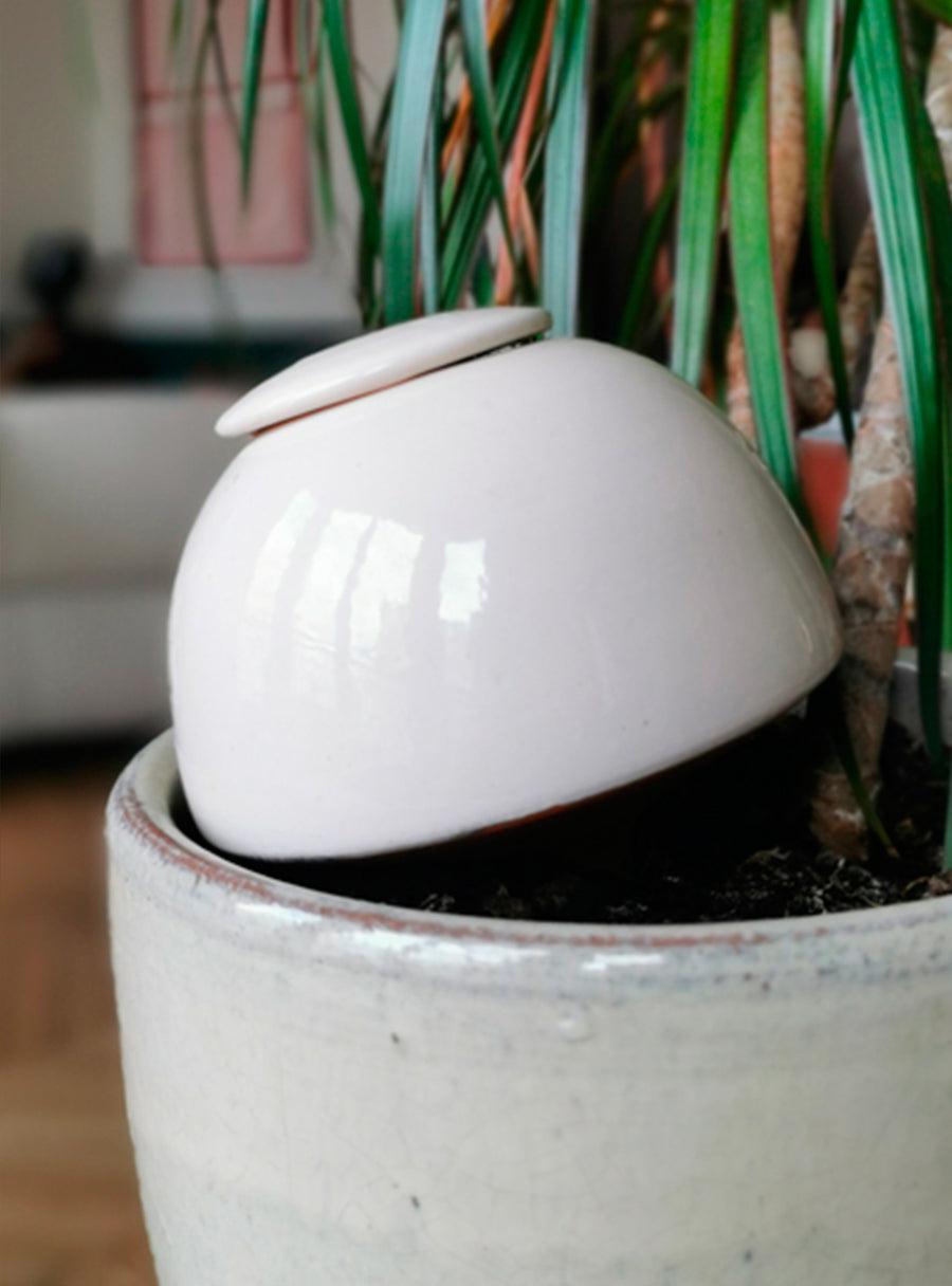 Duo d'Ollas à planter - 0,5L x 2 - blanc