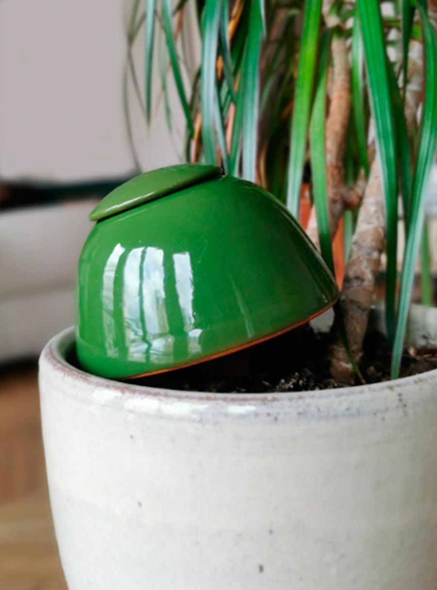 Duo d'Ollas à planter - 0,5L x 2 - vert