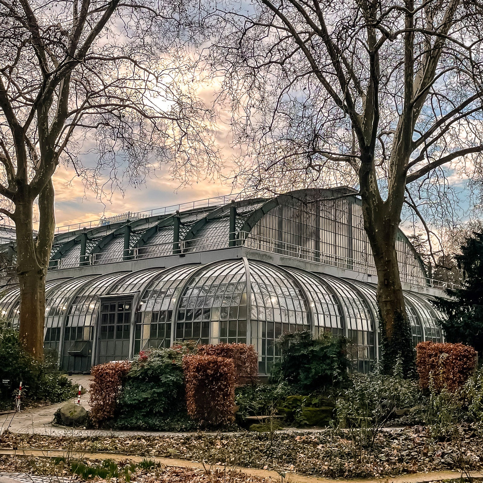 Palmenhaus du Palmengarten de Francfort