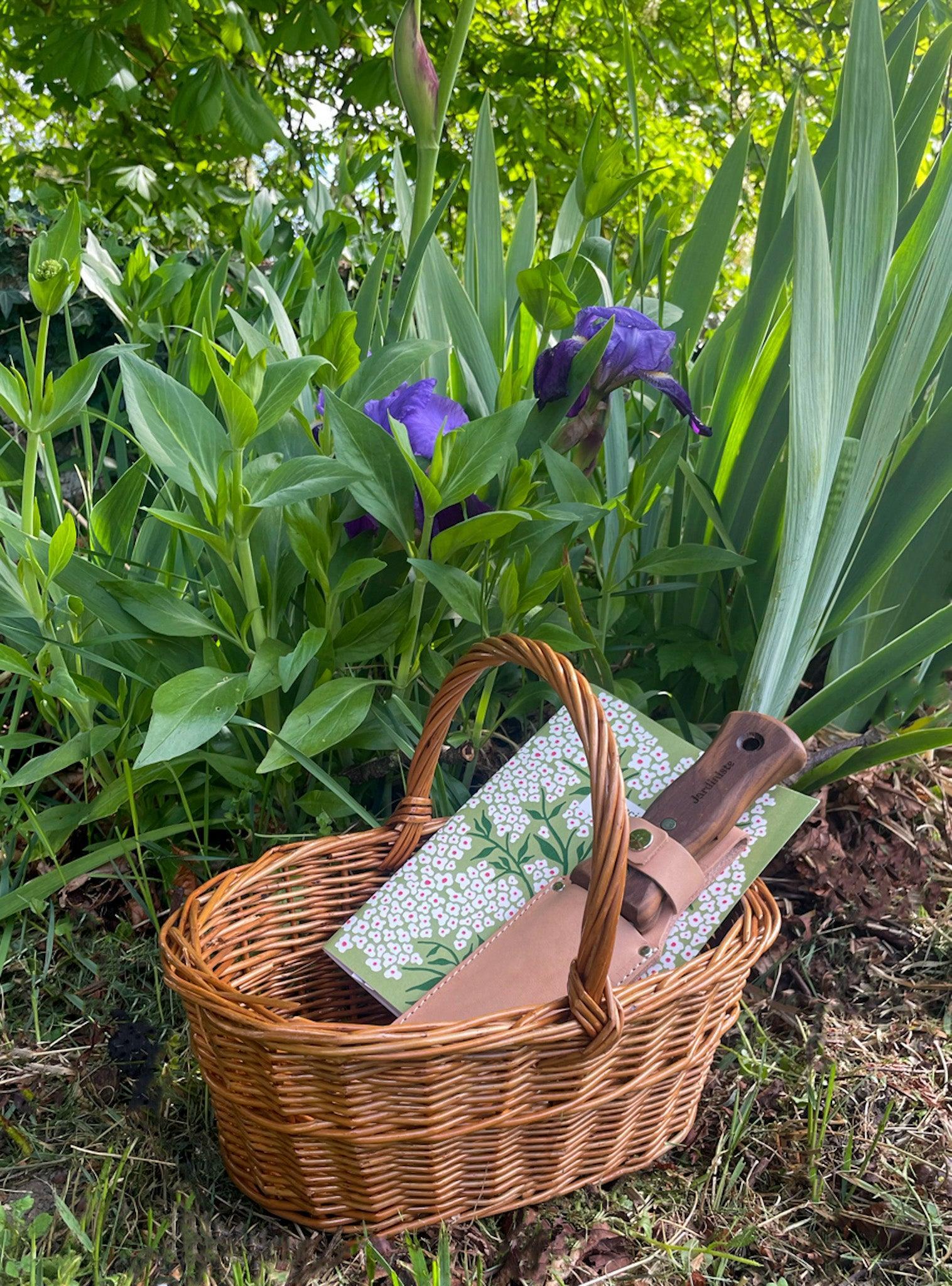 Carnet A5 - Illustration Myosotis