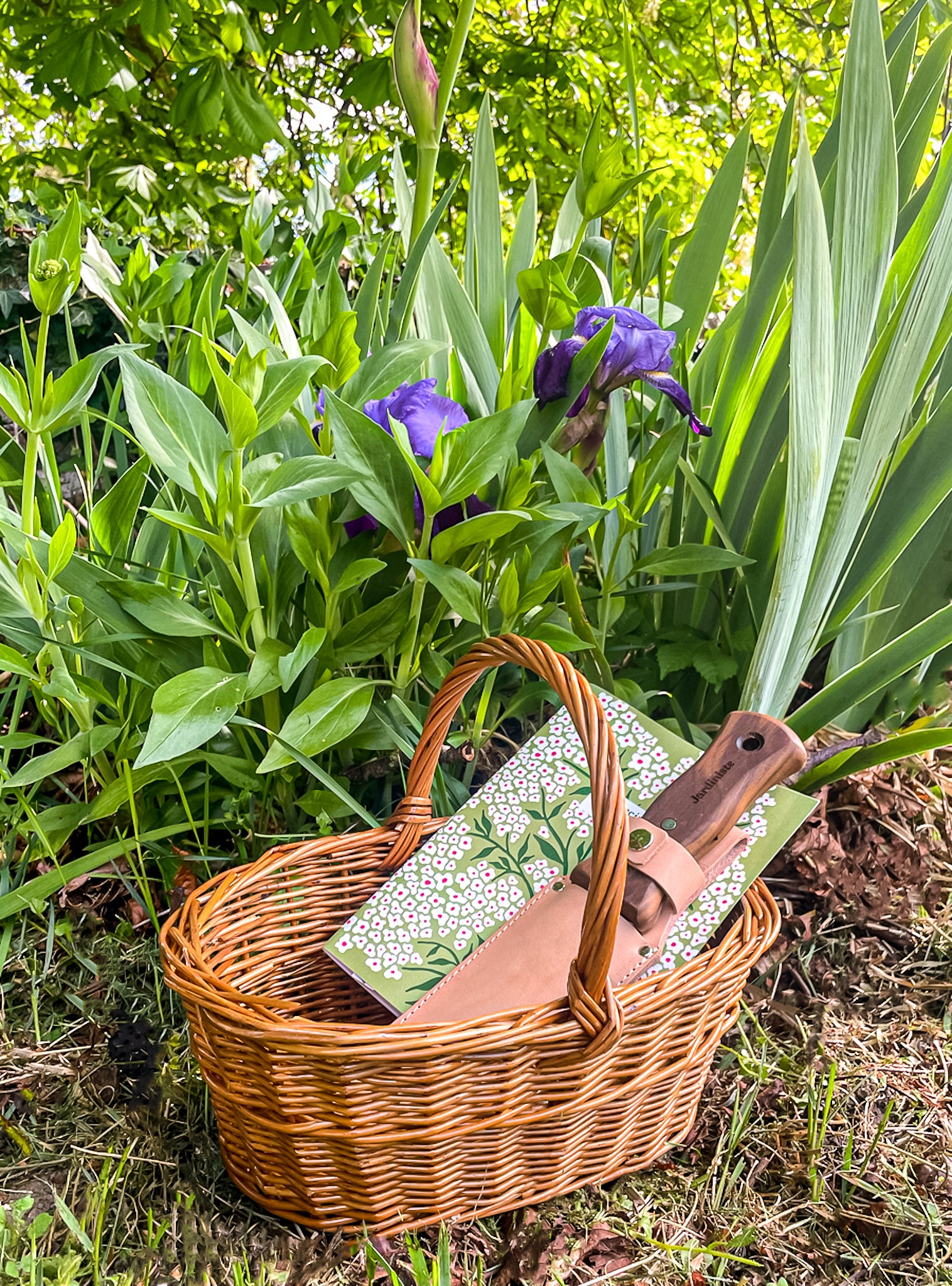 Petit panier en osier tressé