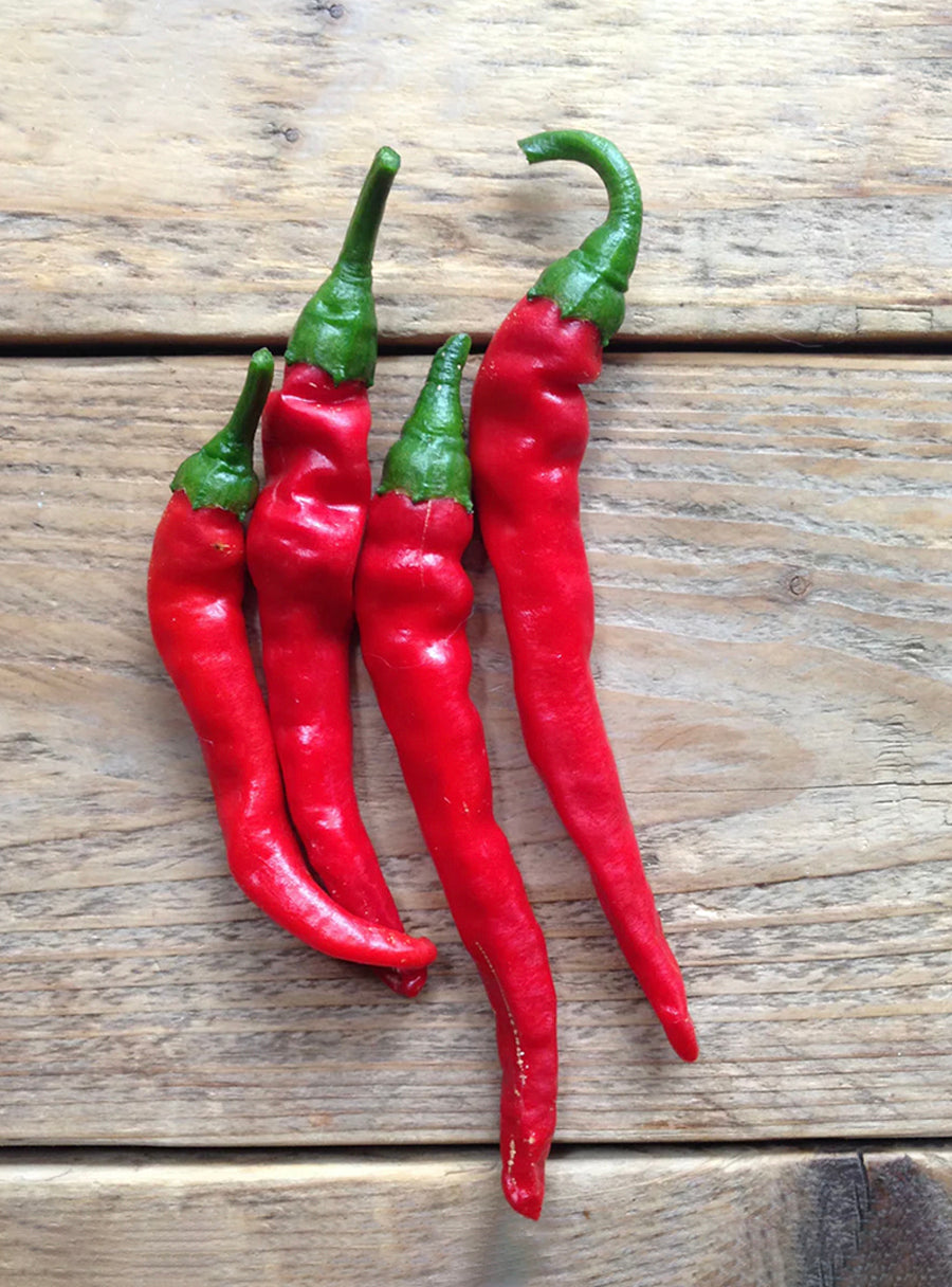 Duo de graines - Piments