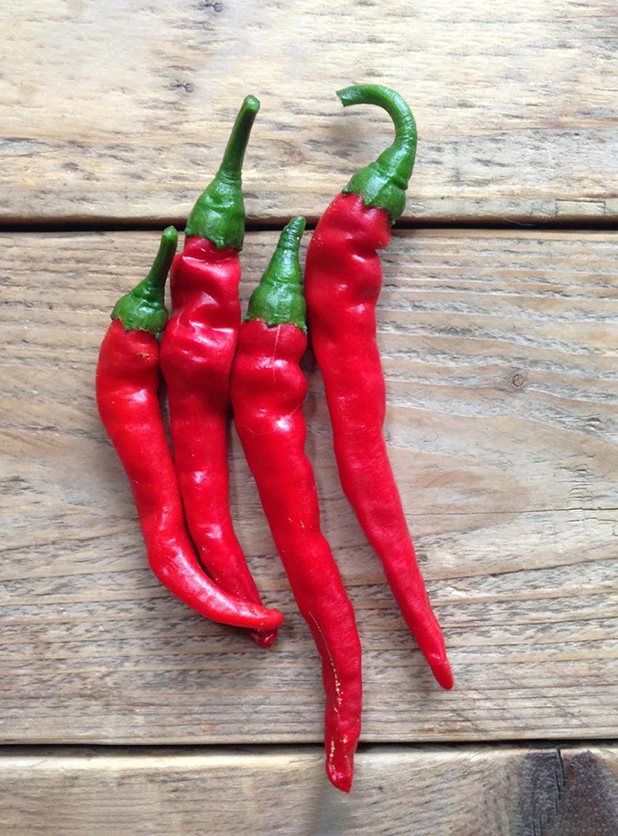 Duo de graines - Piments