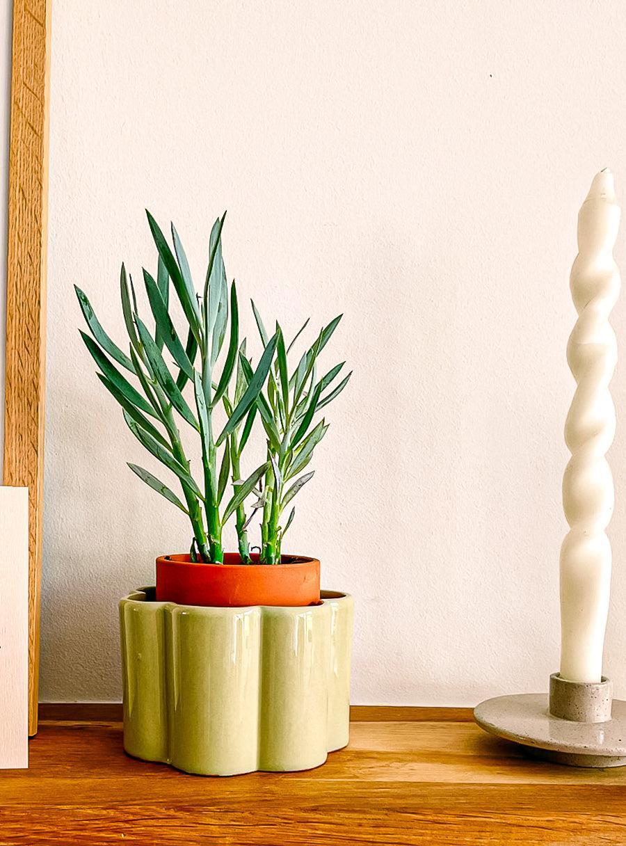 Pot de fleurs autonome