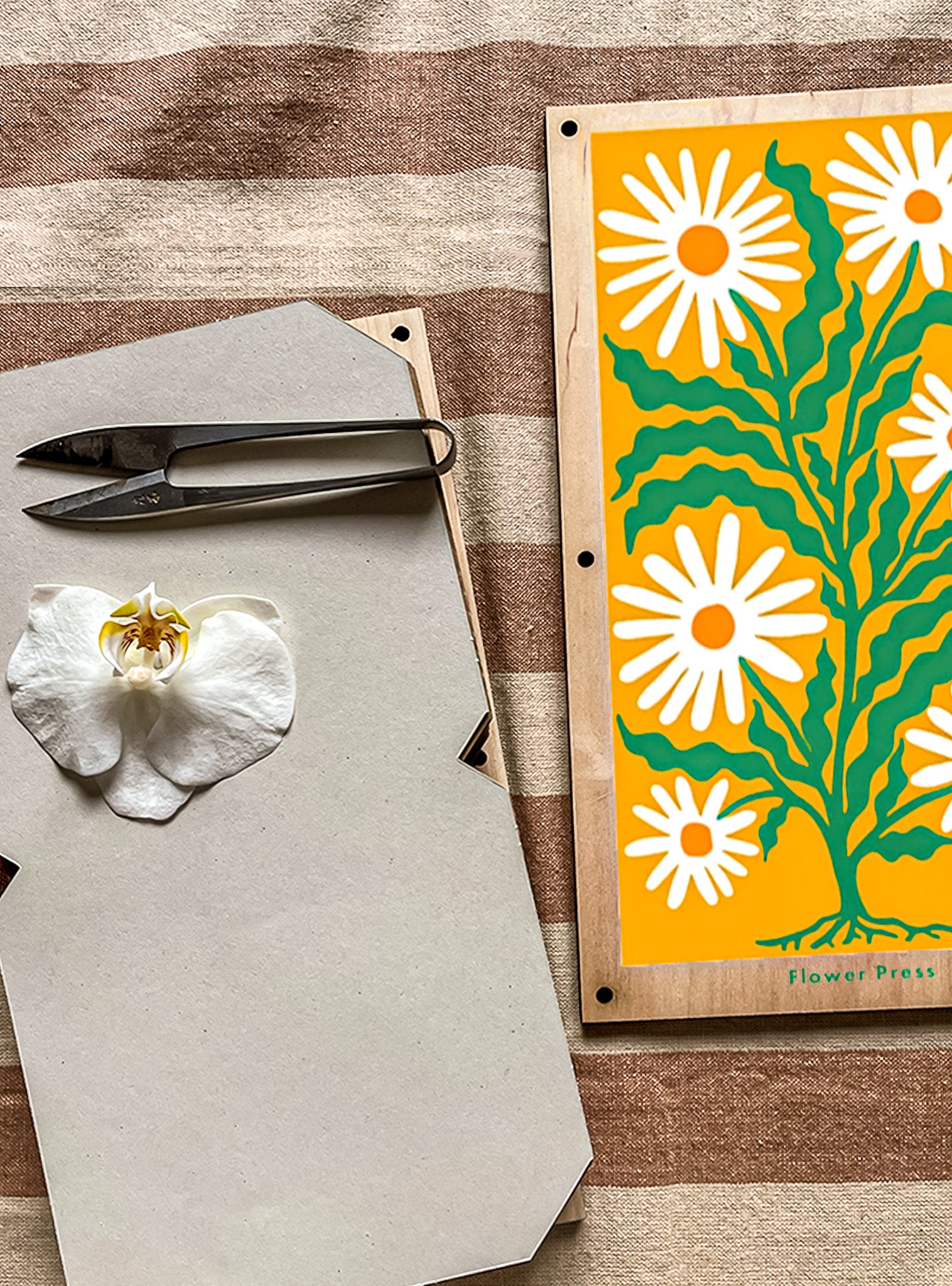 Flower Press - Daisies Design