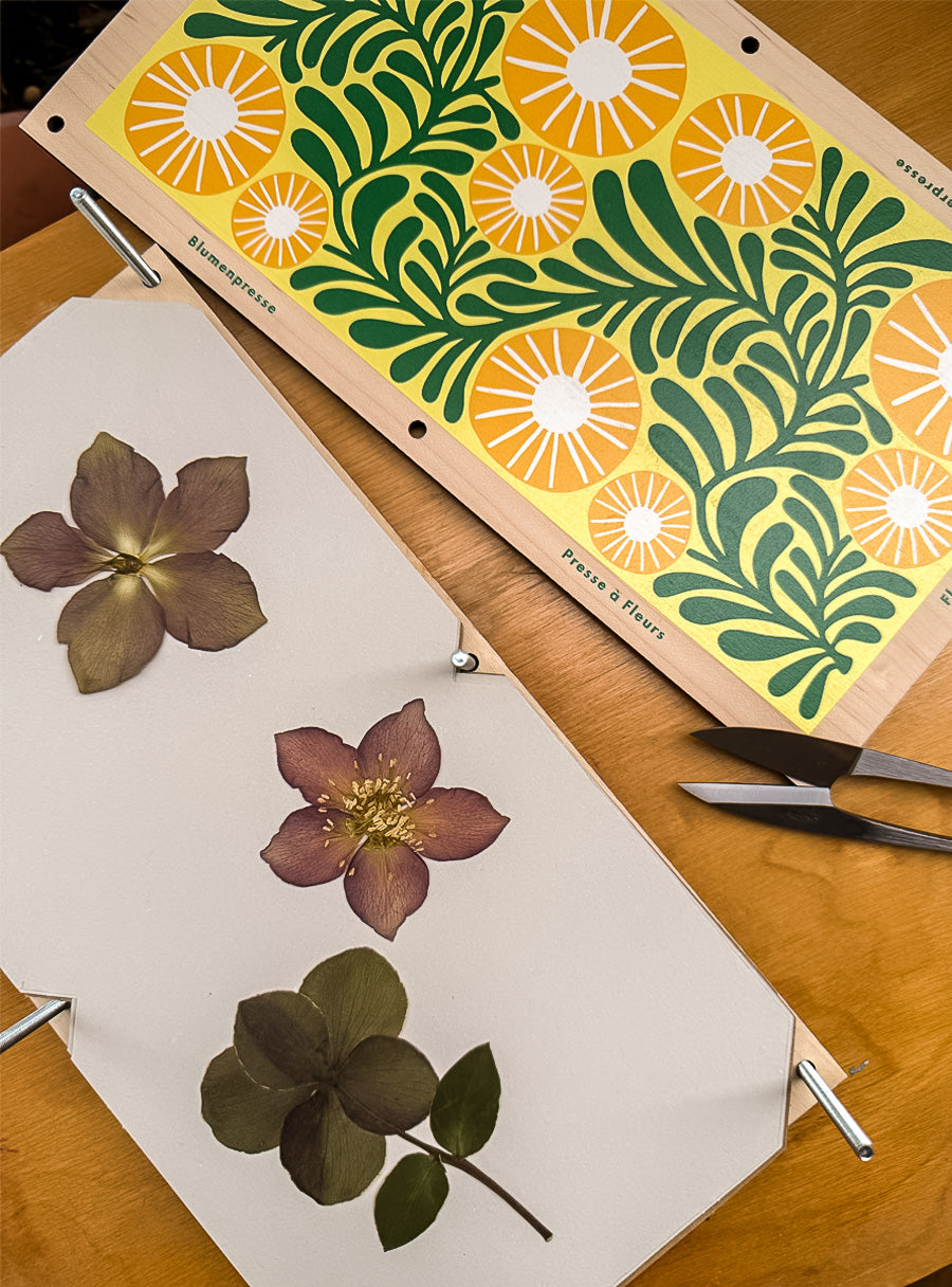 Presse à fleurs - motif vigne