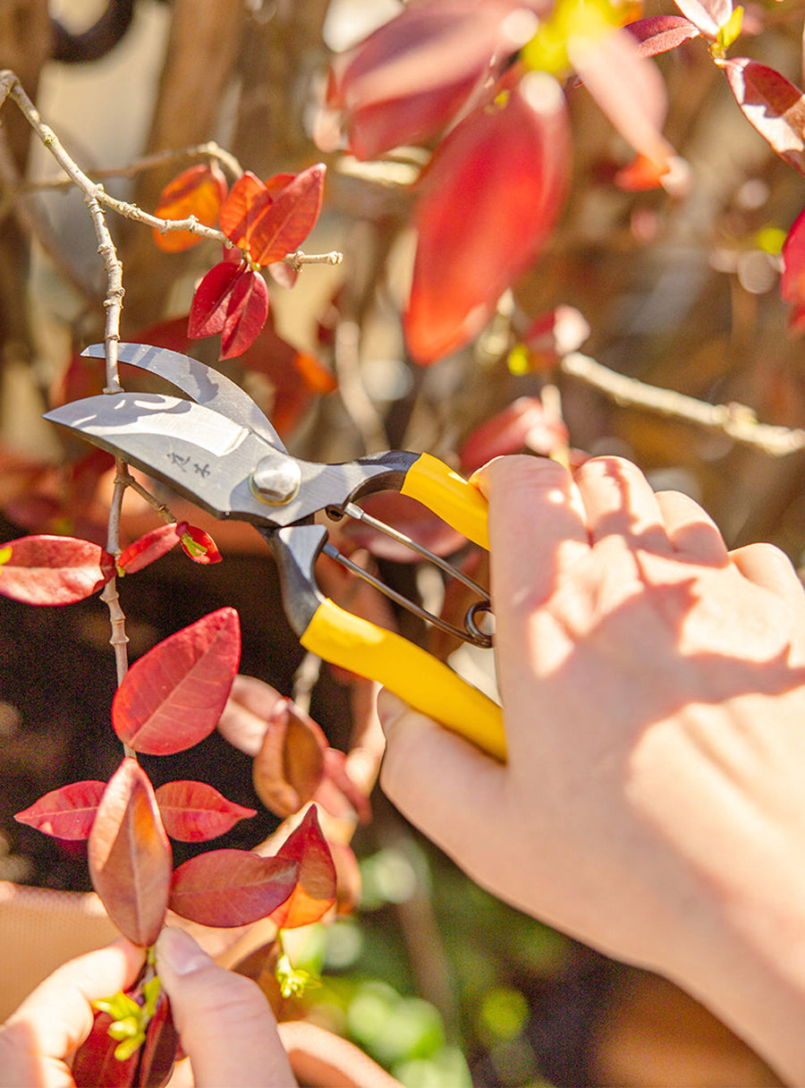 Higurashi GR Japanese Secateurs
