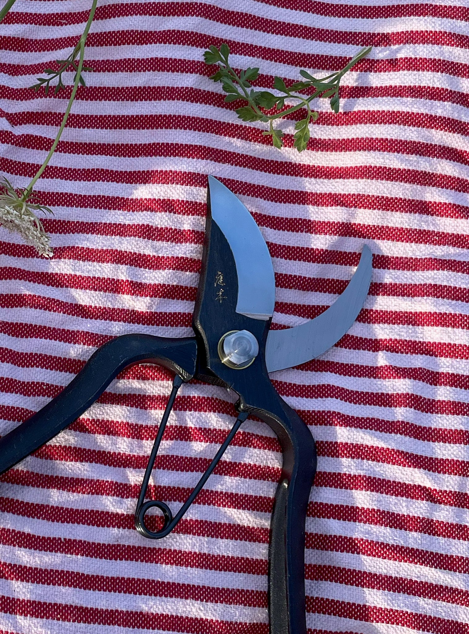 Sécateur japonais forgé Sentei