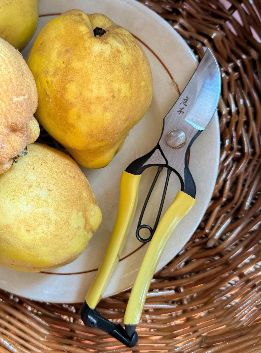 Higurashi GR Japanese Secateurs