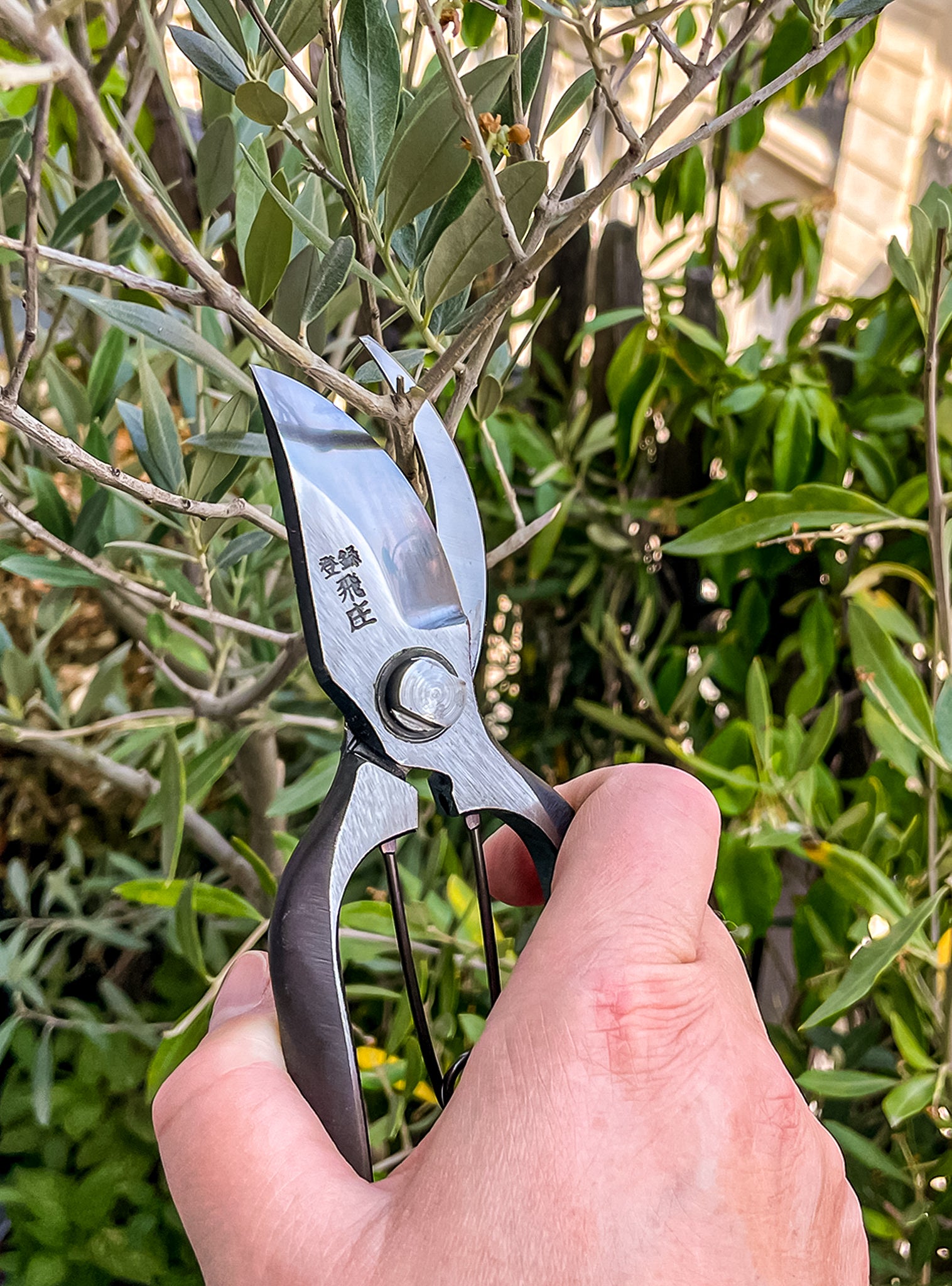 Tobisho B-Type Japanese Secateurs