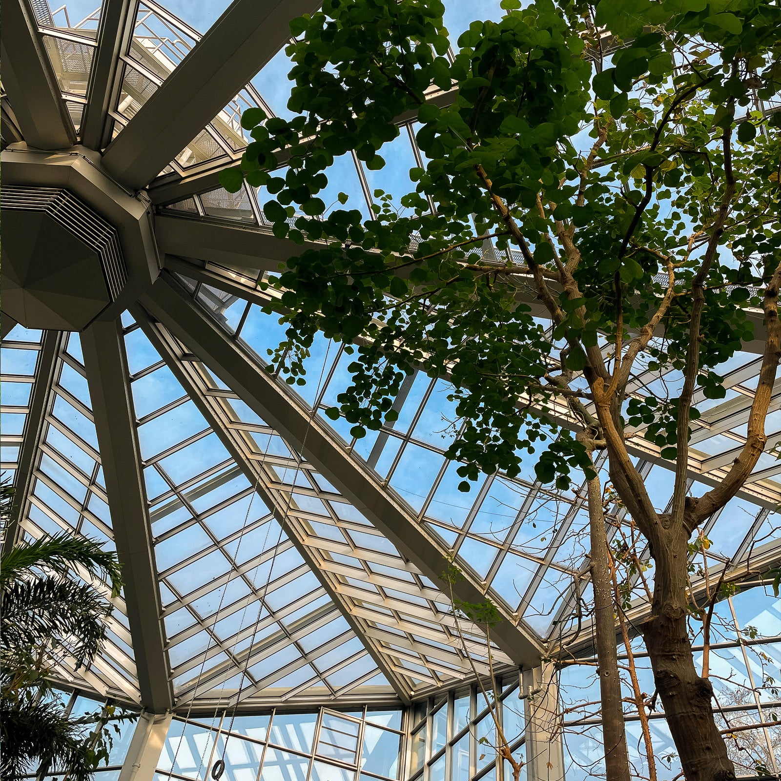 Intérieur du Tropicarium, Palmengarten de Francfort