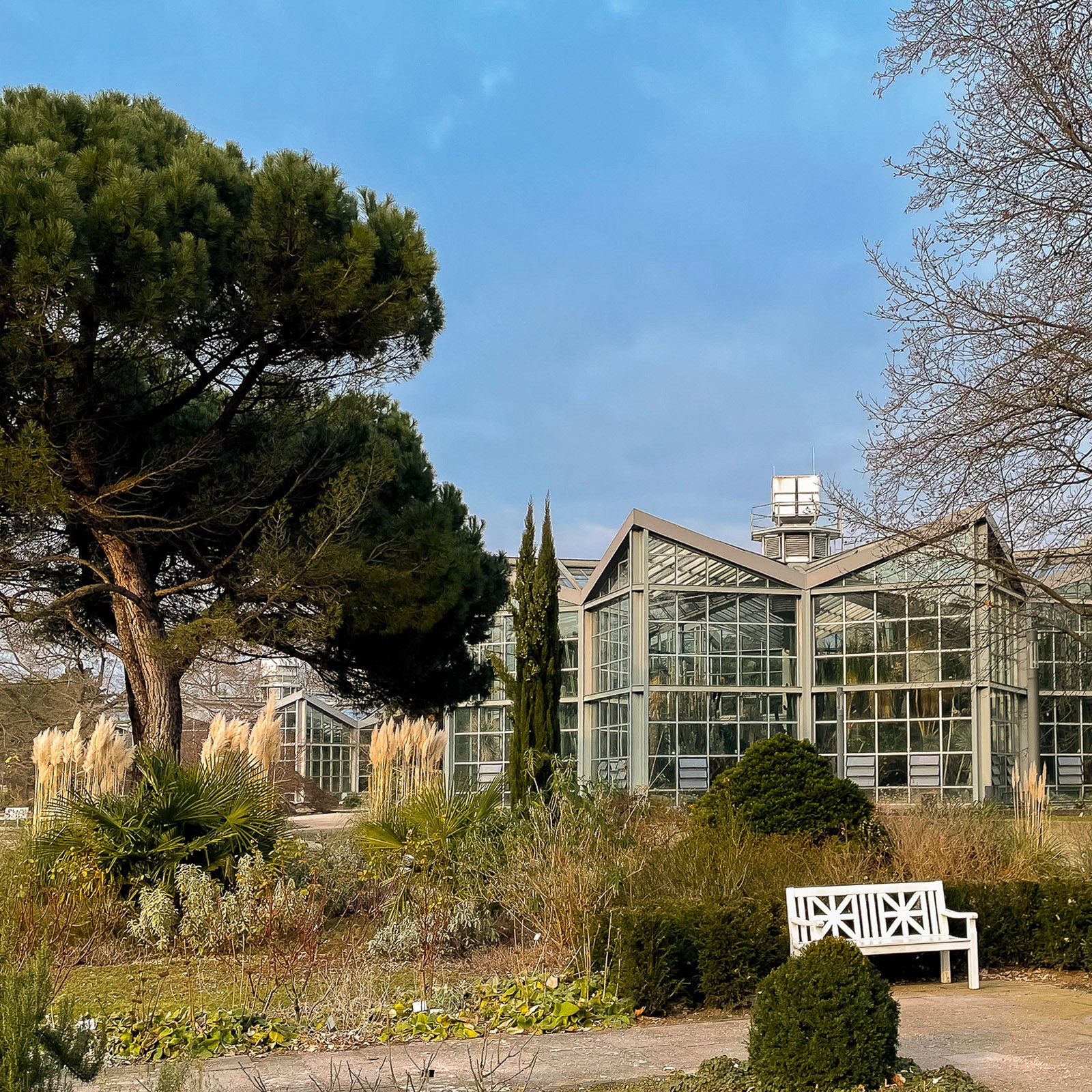 Tropicarium, Palmengarten de Francfort