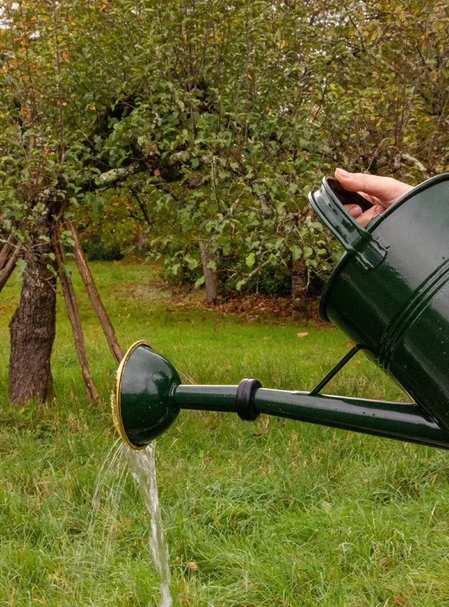 Arrosoir 6l Arrosoir Guillouard 13L Tôle Galva - Qualité Professionnelle - Garantie 20 Ans Arrosoir Métal Durable Arrosoir 6l Arrosoir Guillouard 13L Tôle Galva - Qualité Professionnelle - Garantie 20 Ans Arrosoir Métal Durable