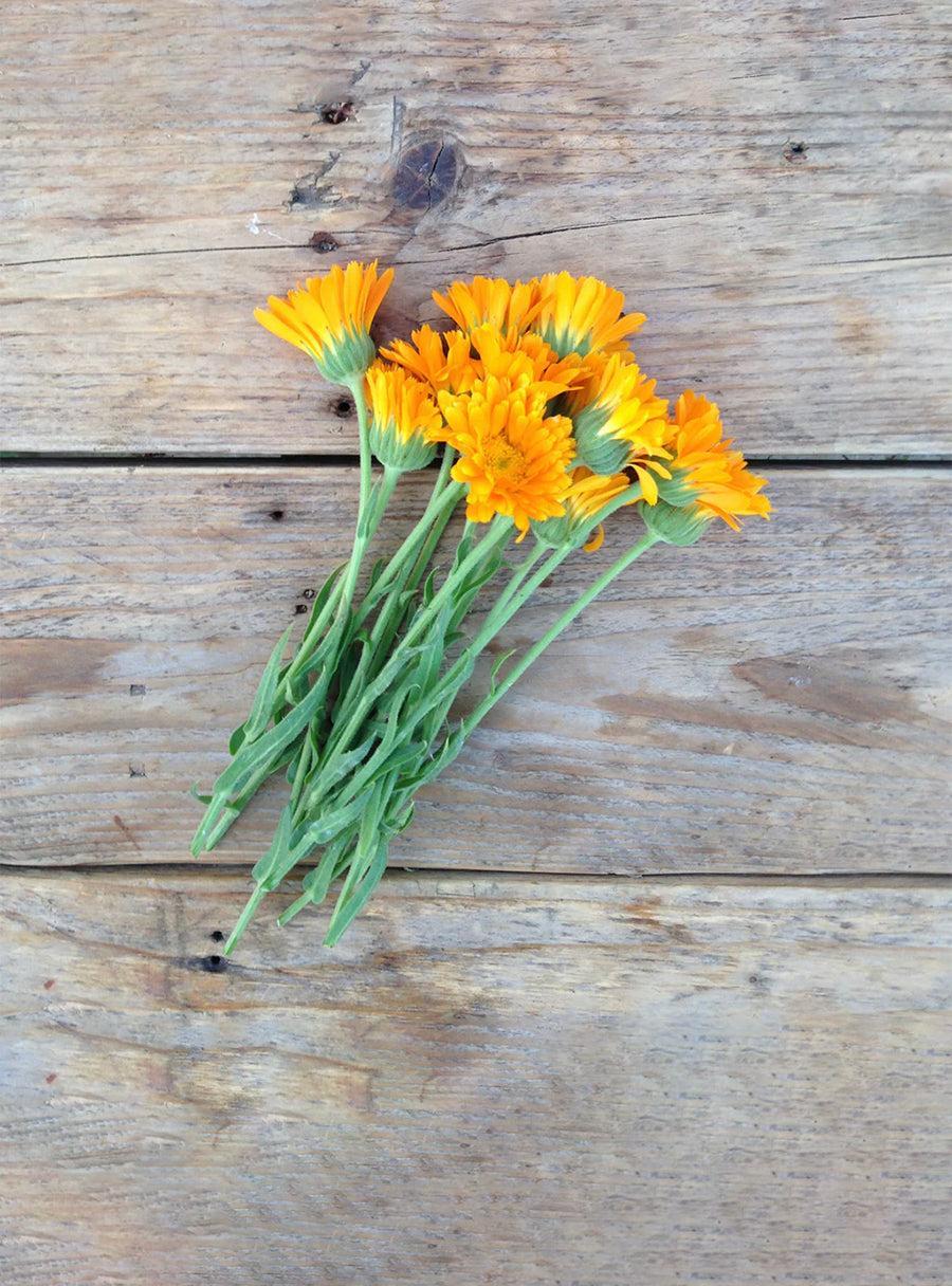 Trio de graines - Fleurs comestibles