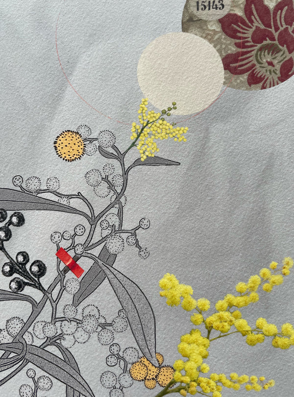 Collage Les Fleurs Pressées - Moyen format - Mimosa