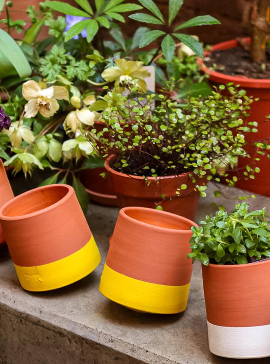 Spinning Top Handmade Terracotta Pot - Yellow
