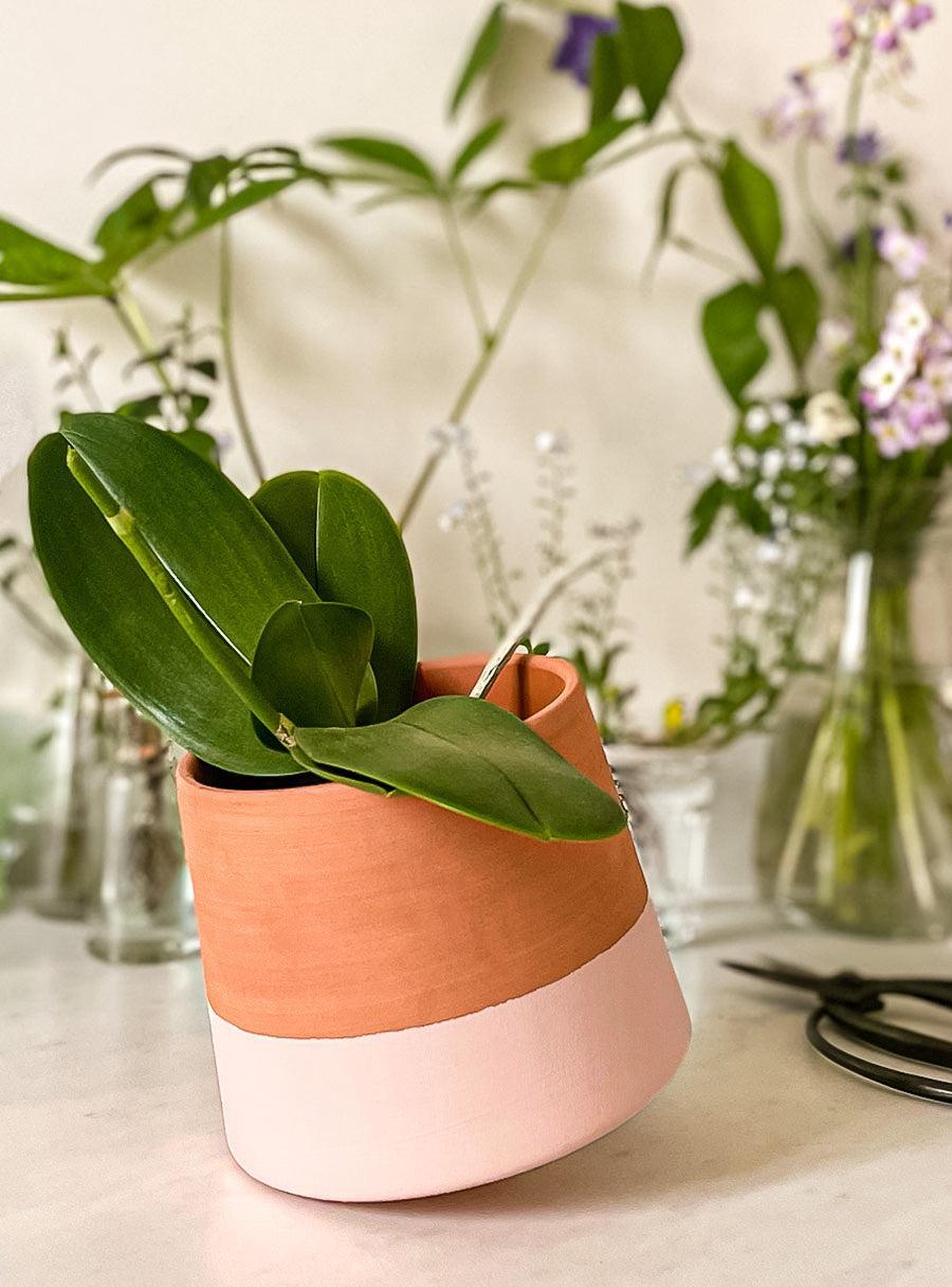Spinning Top Handmade Terracotta Pot - Pink
