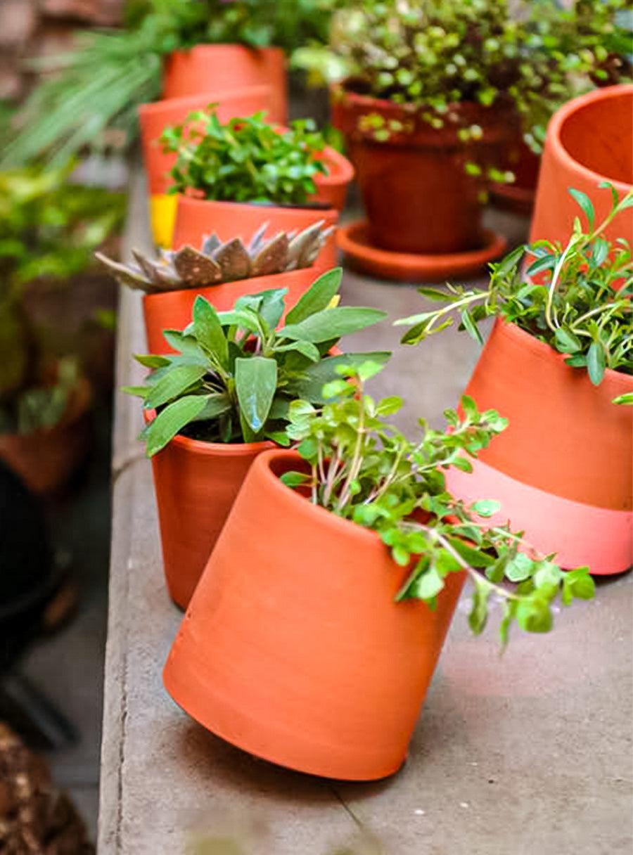 Pot de fleurs toupie - rose pivoine