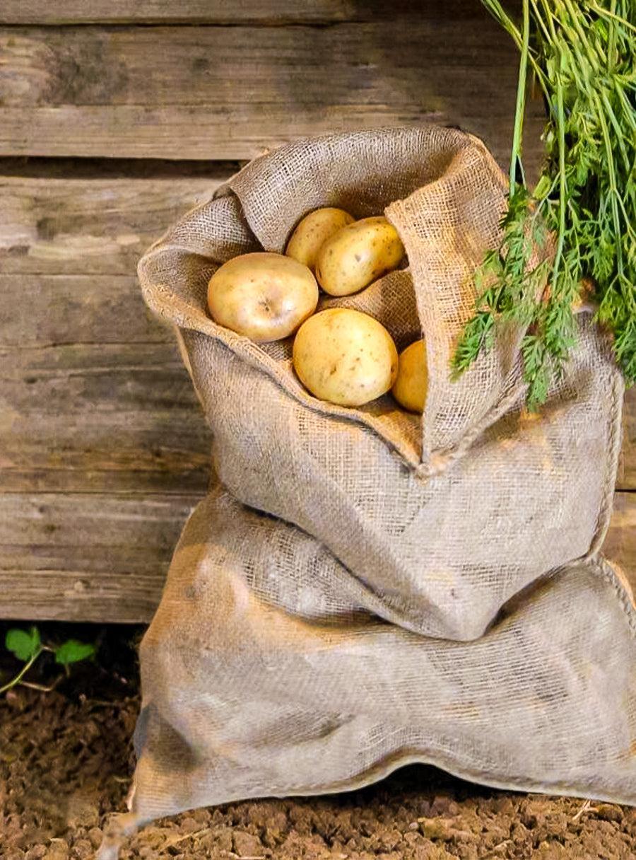 Sacs en toile de jute - Set de 2