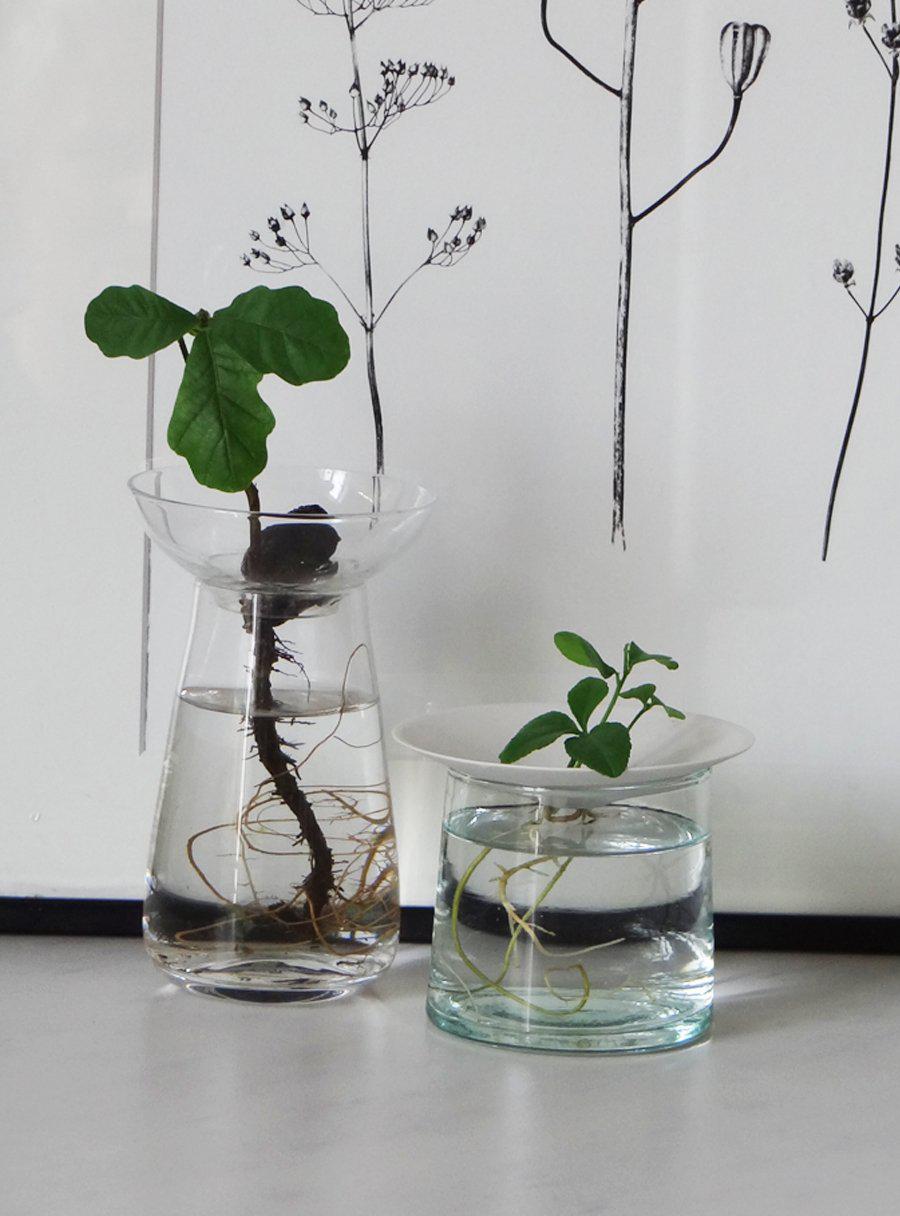 Coupelle de germination en porcelaine - petite ouverture