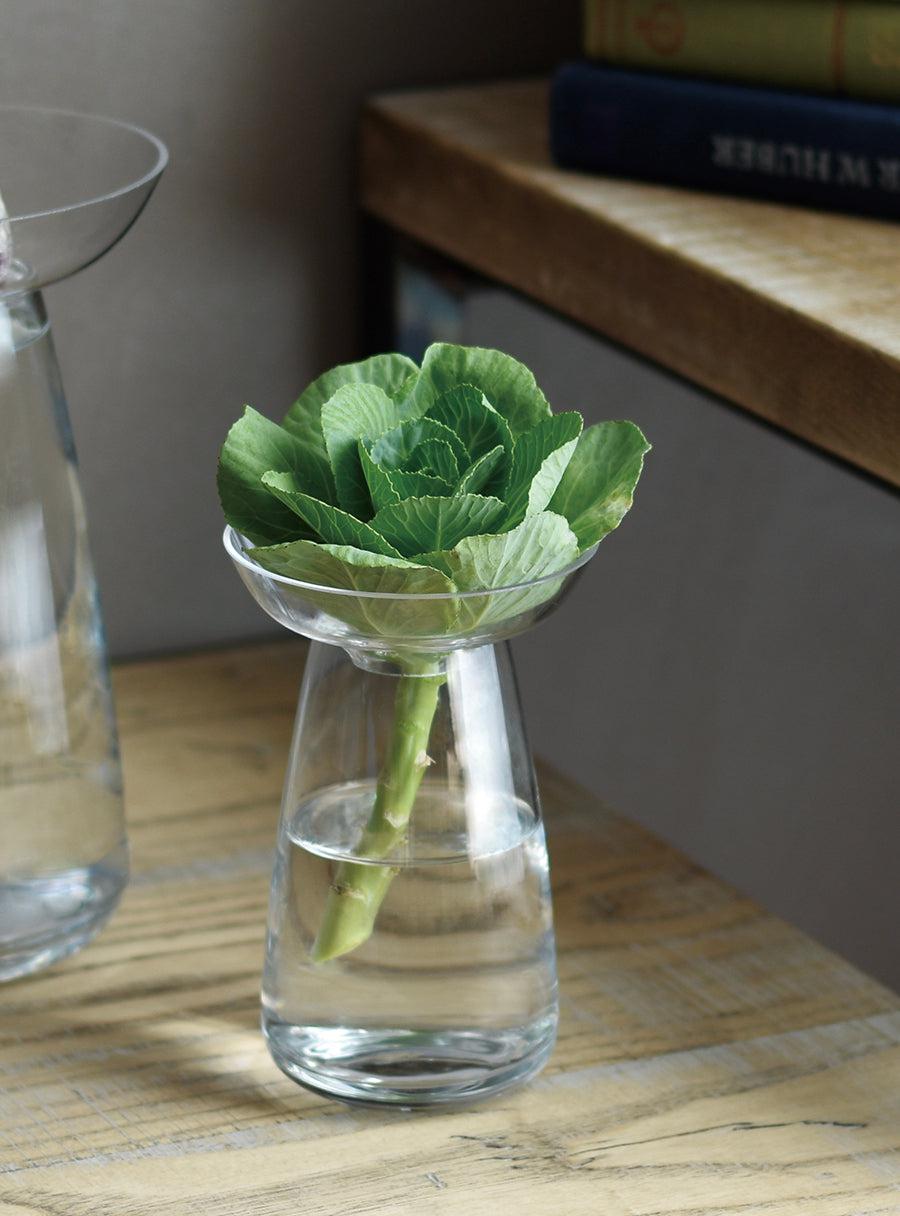 Vase Aqua Culture - transparent