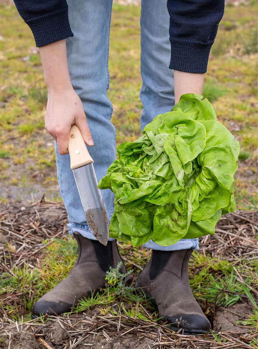 Hori Hori - Outil japonais de jardinage avec étui en toile-Niwaki-Jardiniste